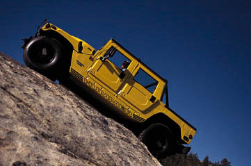 yellow4.jpg (24006 bytes)